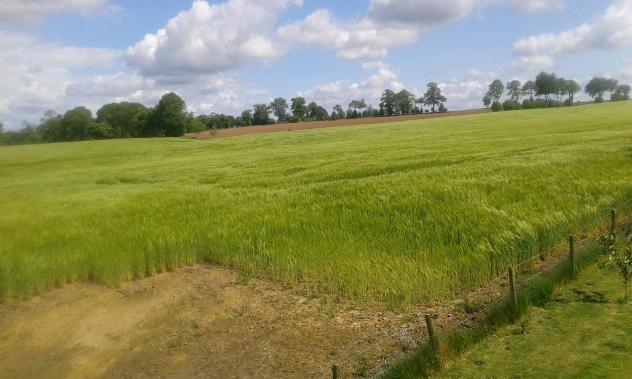 La Petite Maison Dans La Prairie Notre-Dame-du-Touchet Exteriér fotografie
